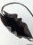 PSX_20260716_102404.jpg